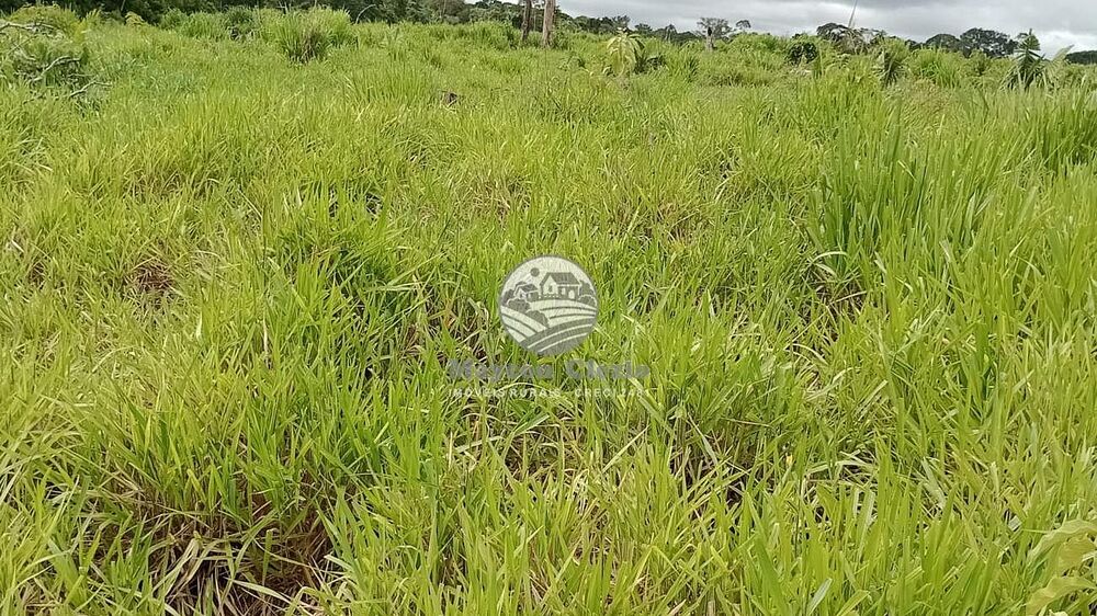Fazenda - Foto 1