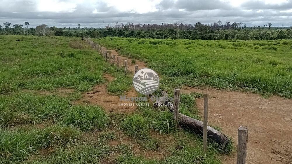 Fazenda - Foto 5