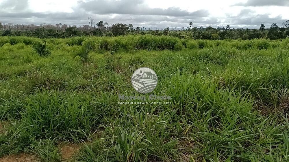 Fazenda - Foto 11