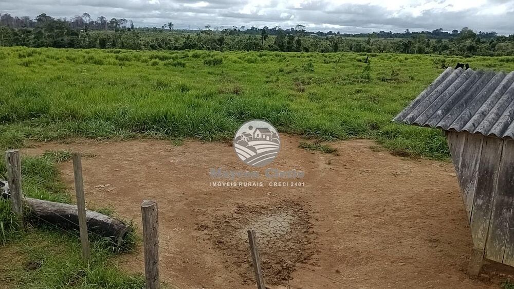 Fazenda - Foto 4