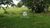 Fazenda-Sítio-Chácara - Foto 2