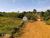 Fazenda-Sítio-Chácara - Foto 5