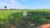 Fazenda-Sítio-Chácara - Foto 19