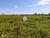 Fazenda-Sítio-Chácara - Foto 6
