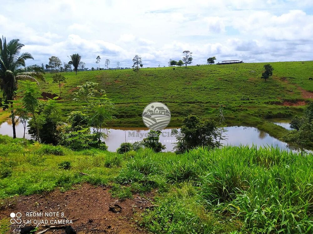 Sítio, 605000 m² - Foto 4