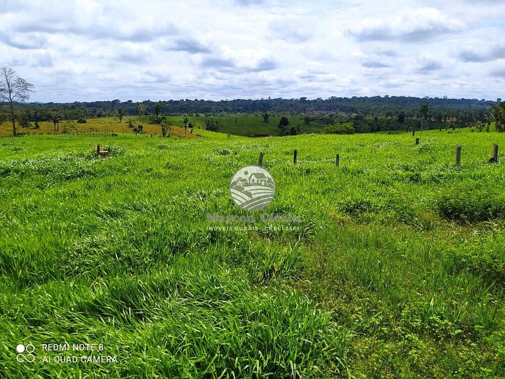 Sítio, 605000 m² - Foto 6