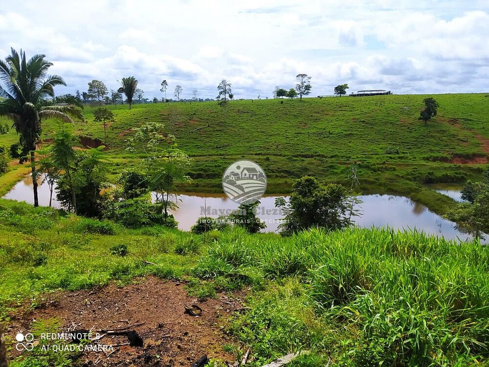 Sítio, 605000 m² - Foto 5