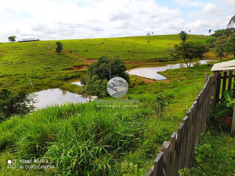 Sítio, 605000 m² - Foto 1