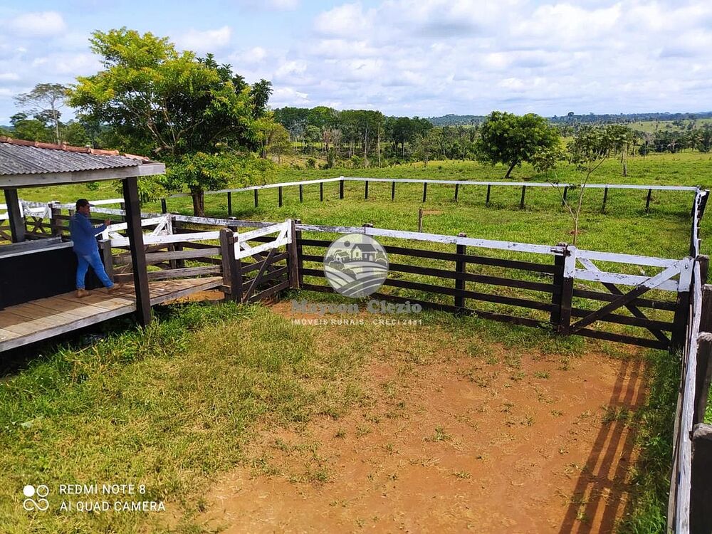 Sítio, 605000 m² - Foto 7