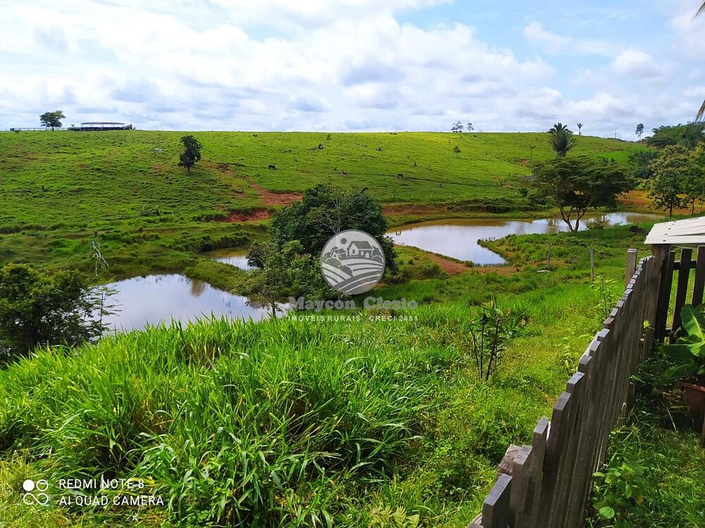 Sítio, 605000 m² - Foto 3