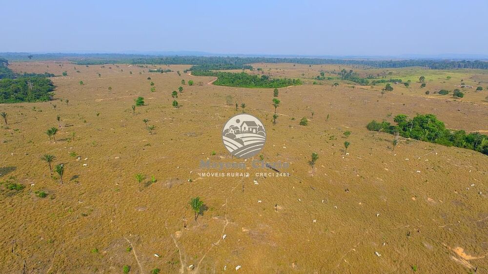 Fazenda à venda, 2100000m² - Foto 2