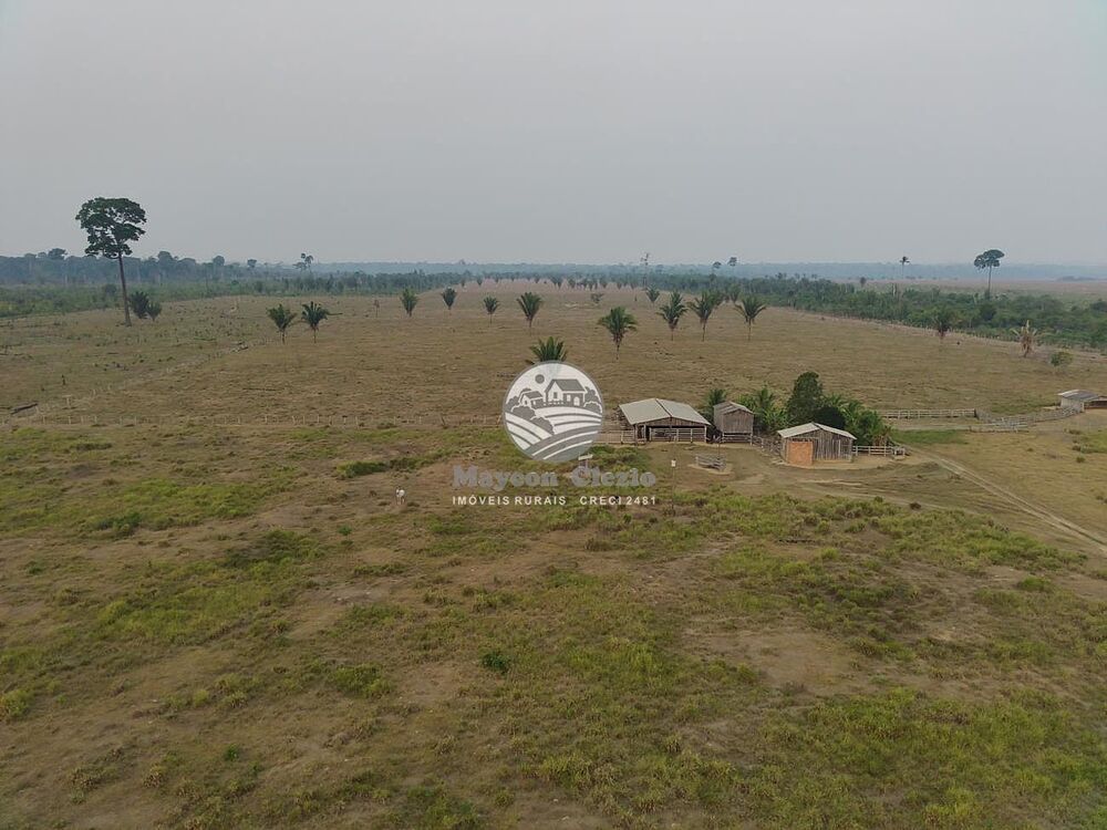 Sítio, 508000 m² - Foto 6