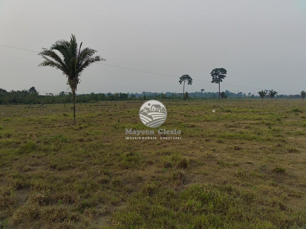 Sítio, 508000 m² - Foto 8