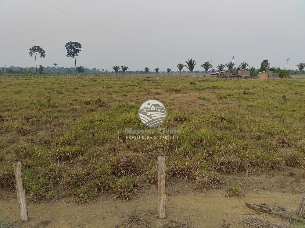 Sítio, 508000 m² - Foto 12