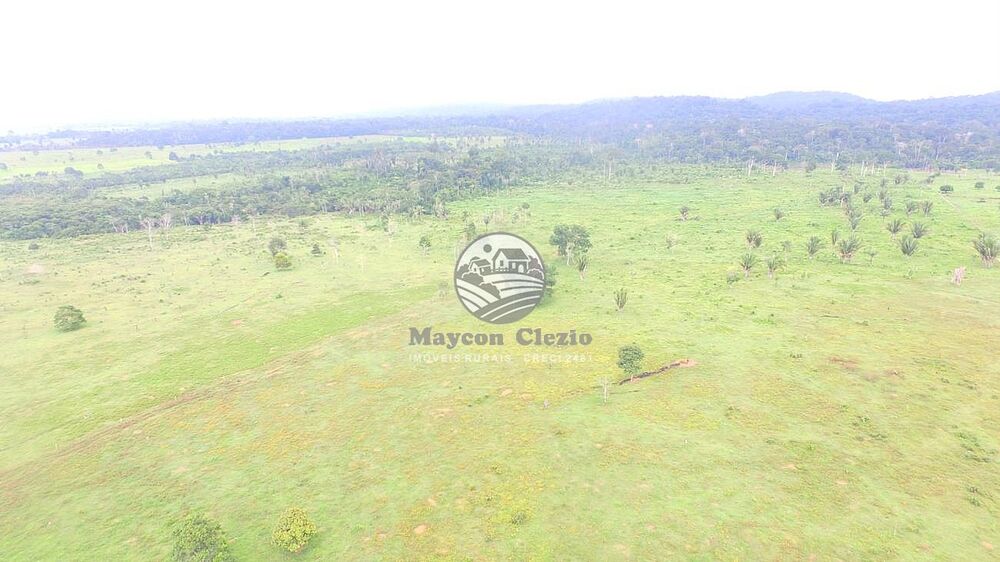 Fazenda-Sítio-Chácara - Foto 4