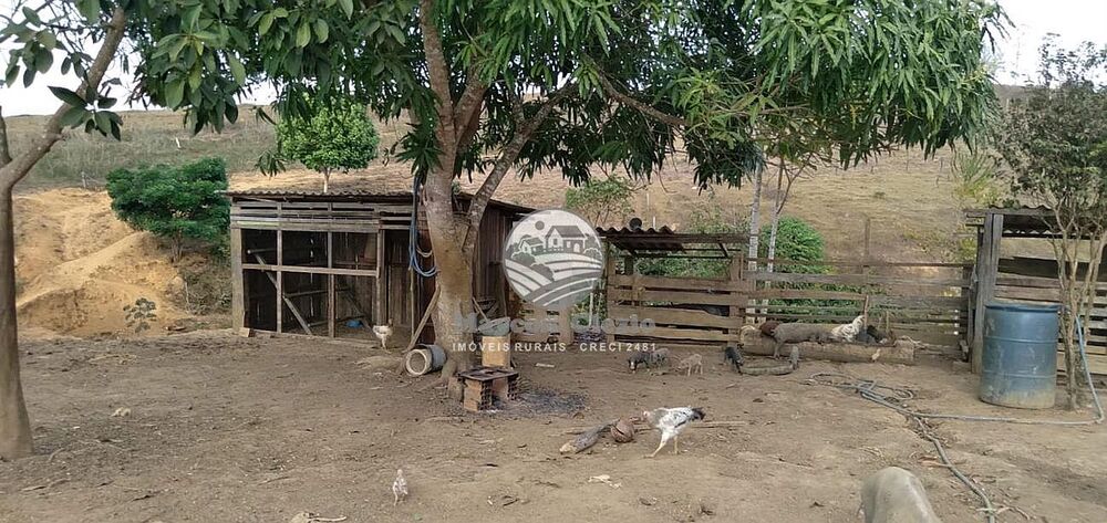 Sítio, 242000 m² - Foto 5