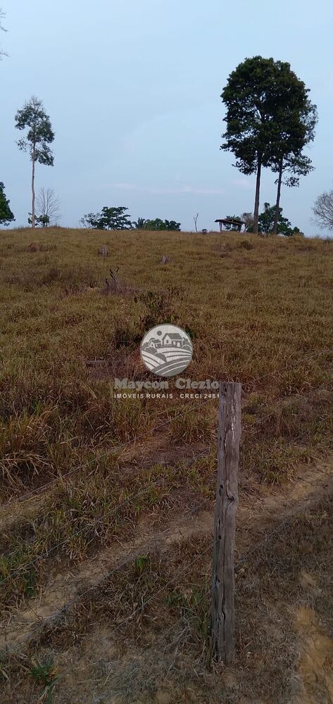 Sítio, 242000 m² - Foto 11