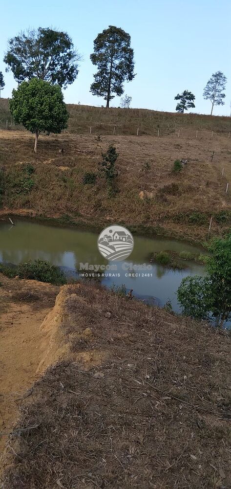 Sítio, 242000 m² - Foto 3