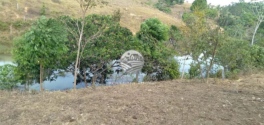 Sítio, 242000 m² - Foto 2