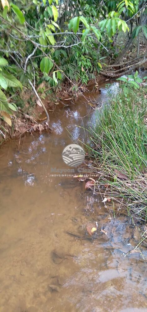 Sítio, 242000 m² - Foto 4