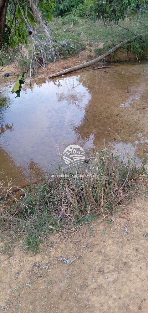 Sítio, 242000 m² - Foto 6