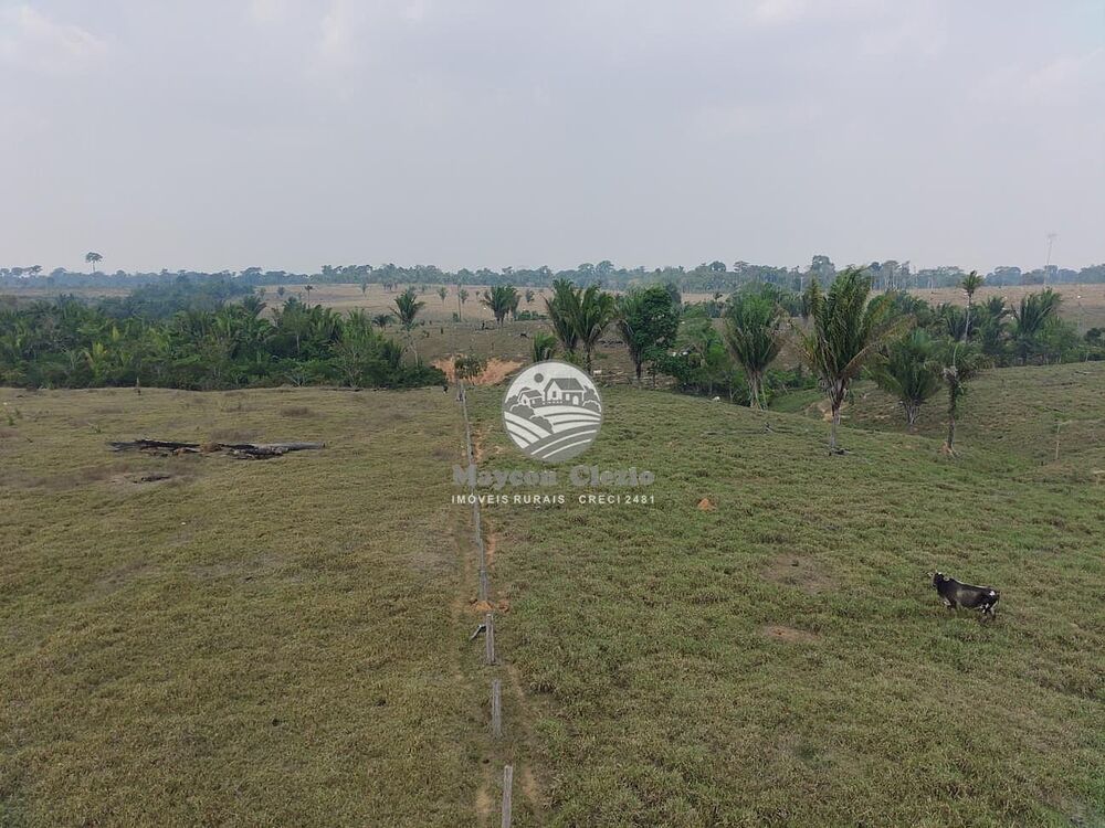 Sítio, 6530000 m² - Foto 7