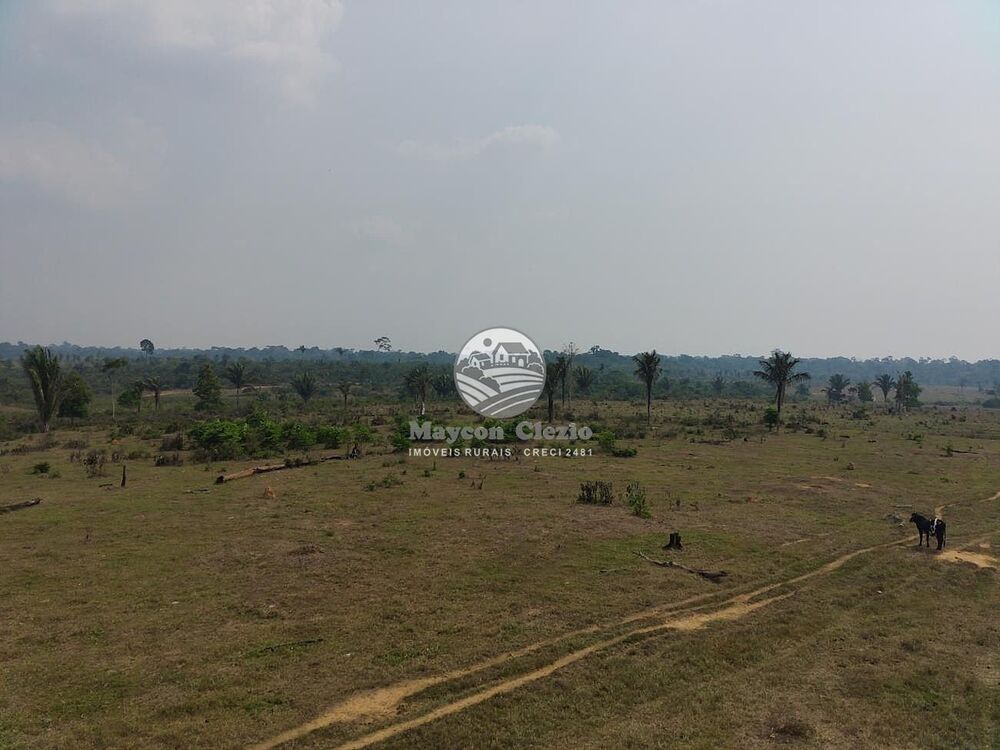 Sítio, 6530000 m² - Foto 2