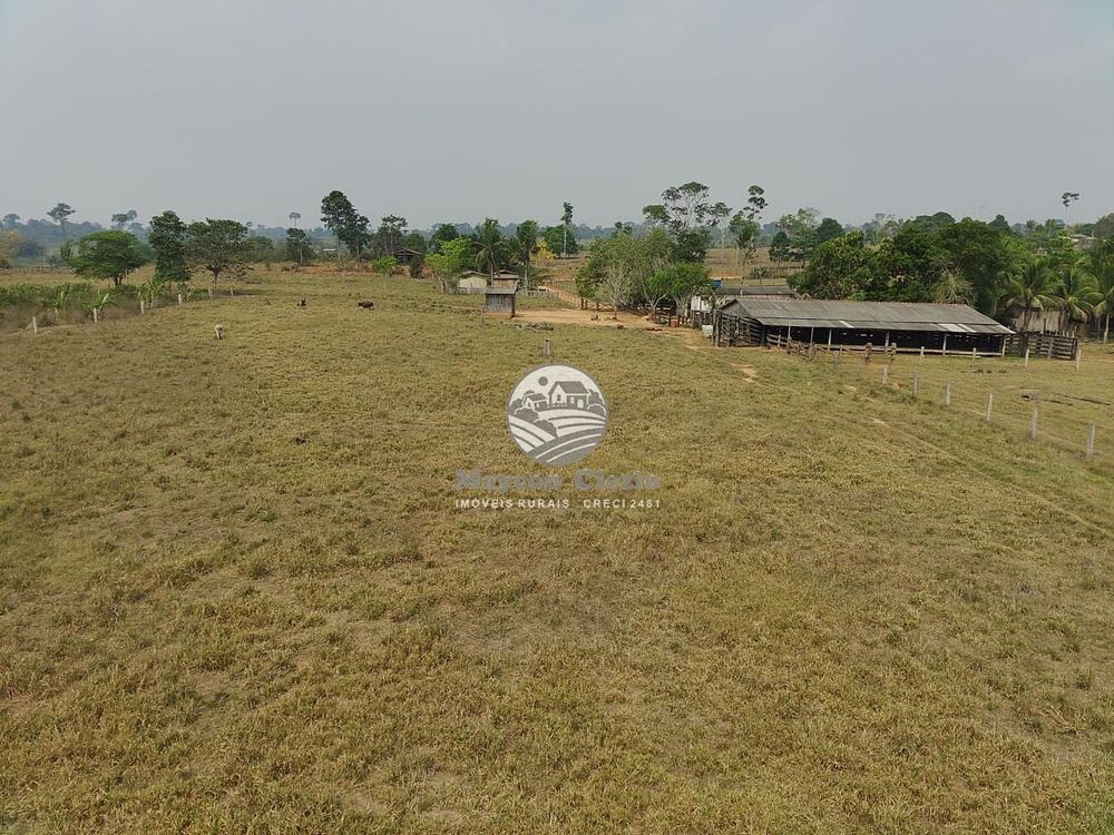 Sítio, 6530000 m² - Foto 11