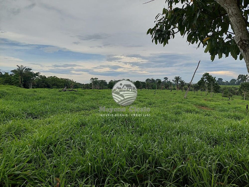 Fazenda-Sítio-Chácara - Foto 4