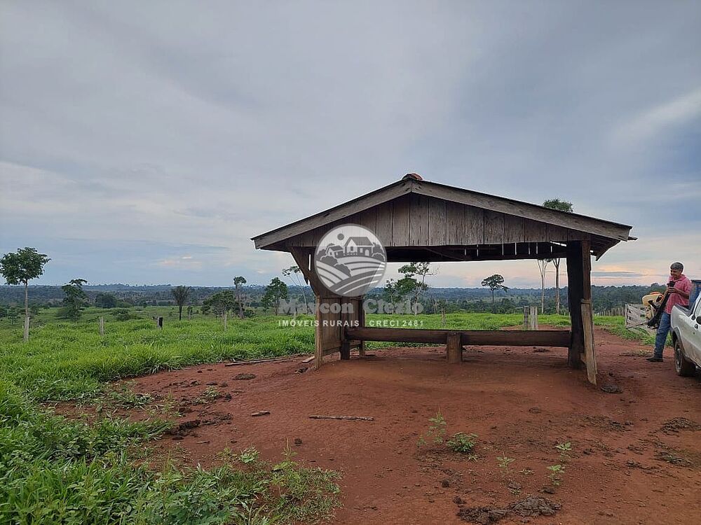 Fazenda-Sítio-Chácara - Foto 3