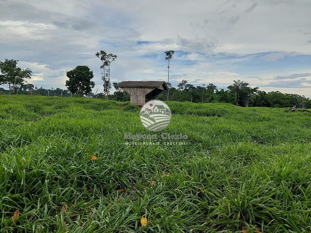 Fazenda-Sítio-Chácara - Foto 6