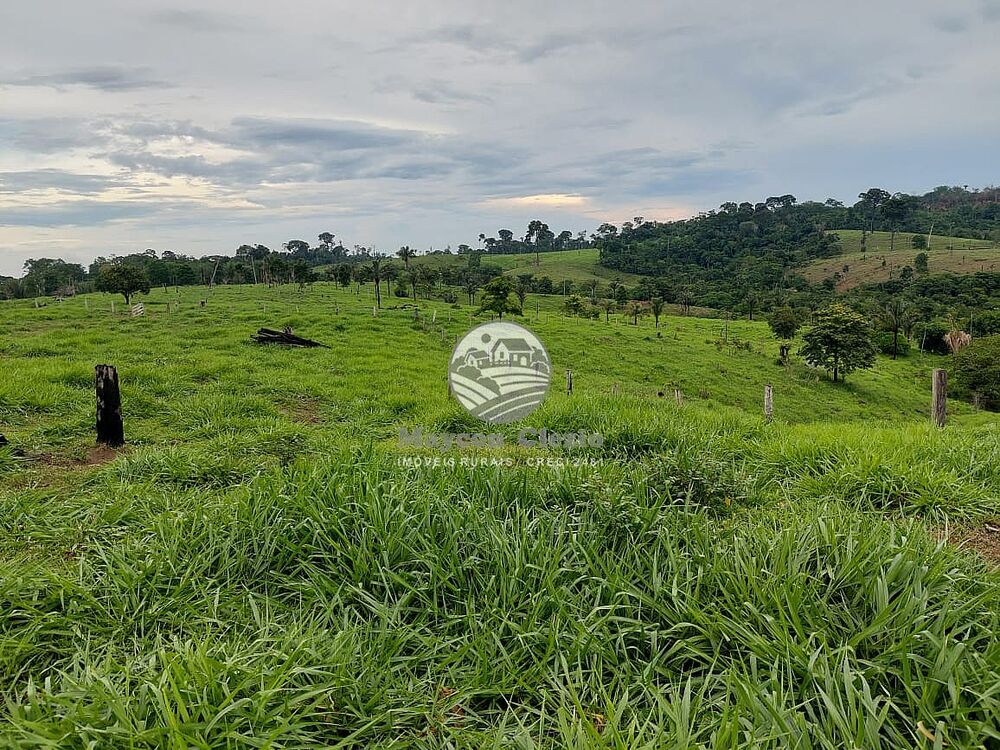 Fazenda-Sítio-Chácara - Foto 2