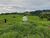 Fazenda-Sítio-Chácara - Foto 2