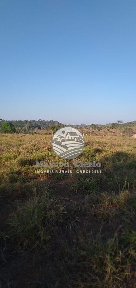 Fazenda-Sítio-Chácara - Foto 2