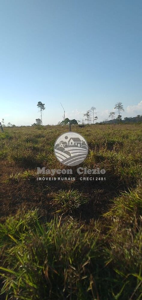 Fazenda-Sítio-Chácara - Foto 5