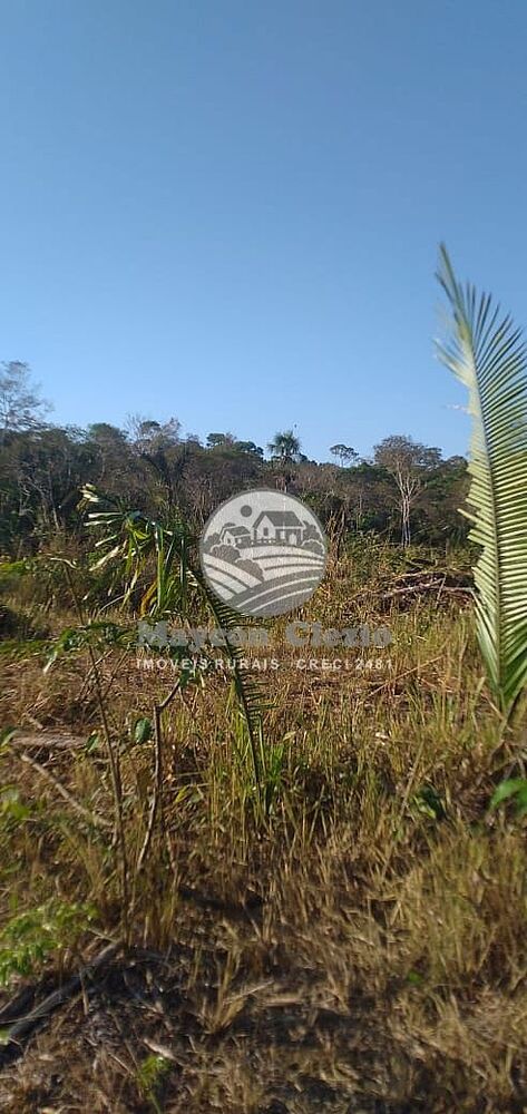 Fazenda-Sítio-Chácara - Foto 9