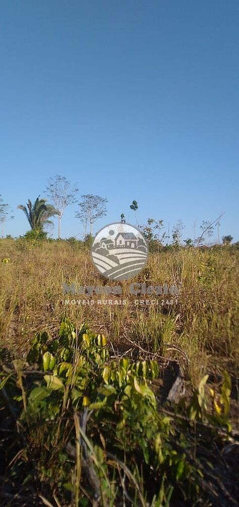 Fazenda-Sítio-Chácara - Foto 11