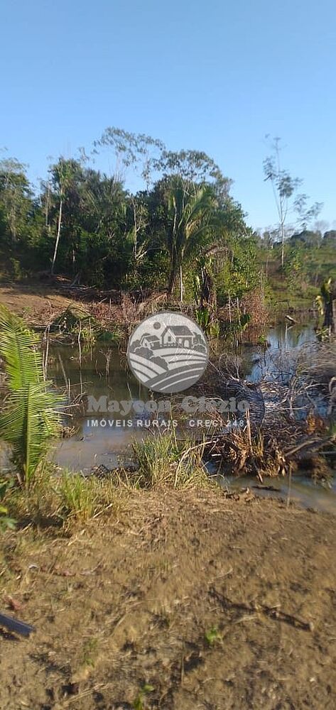 Fazenda-Sítio-Chácara - Foto 6