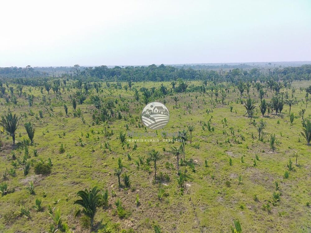 Fazenda-Sítio-Chácara - Foto 2