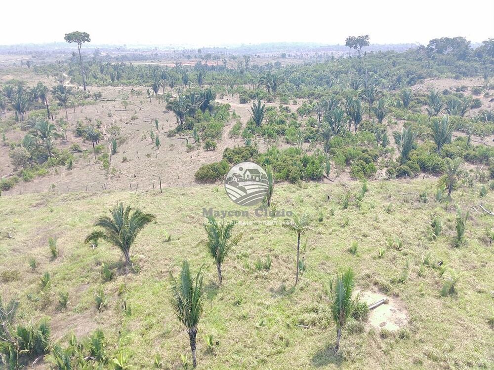 Fazenda-Sítio-Chácara - Foto 4