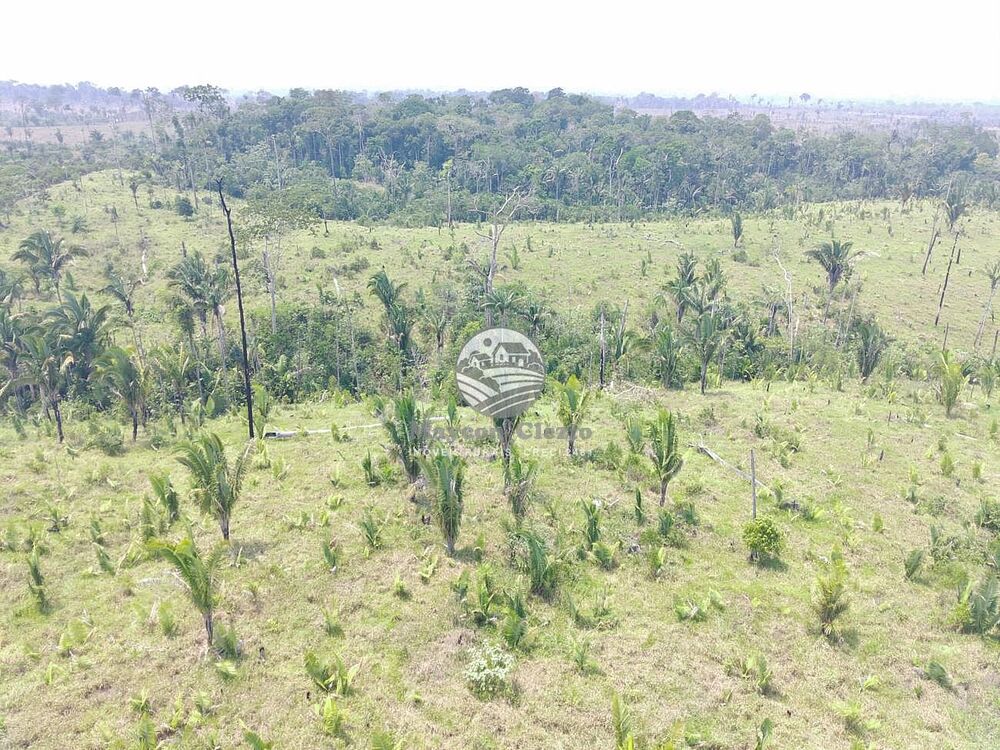 Fazenda-Sítio-Chácara - Foto 1