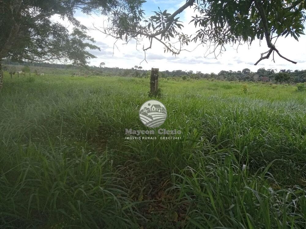 Sítio, 266000 m² - Foto 1