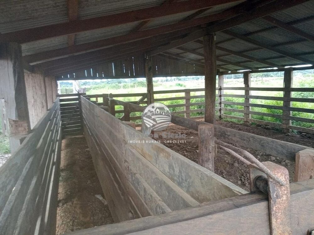 Sítio, 266000 m² - Foto 2