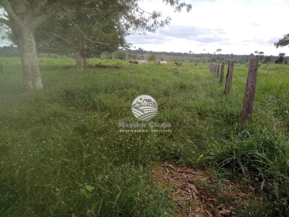 Sítio, 266000 m² - Foto 5