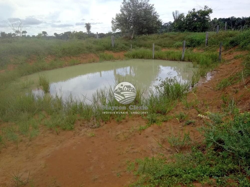 Sítio, 266000 m² - Foto 12