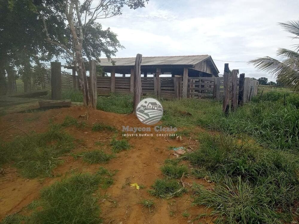 Sítio, 266000 m² - Foto 6