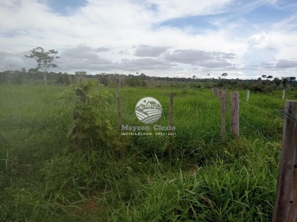 Sítio, 266000 m² - Foto 3