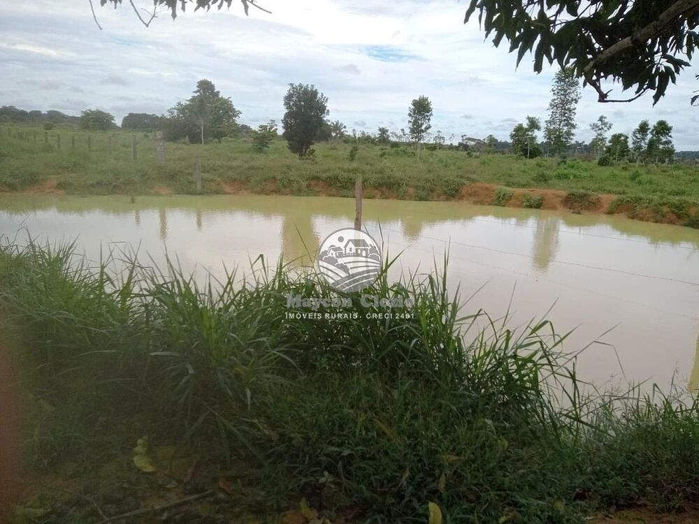 Sítio, 266000 m² - Foto 4