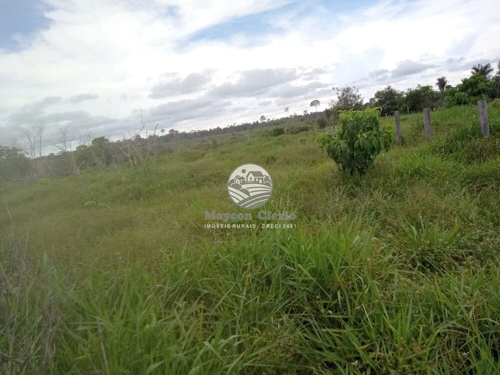 Sítio, 266000 m² - Foto 8