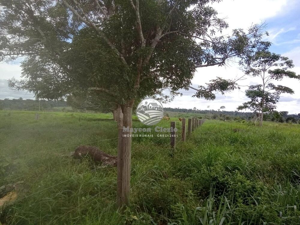 Sítio, 266000 m² - Foto 13